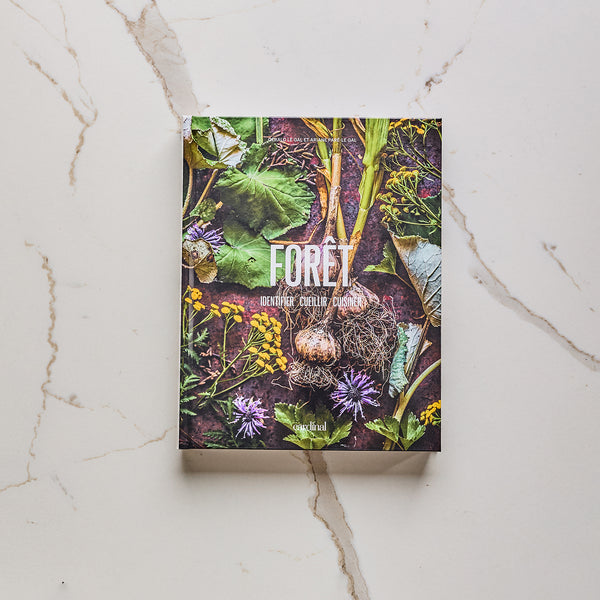Forêt –  Identifier, cueillir, cuisiner