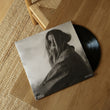 Charger l'image dans la galerie, Traits d'union (vinyle)