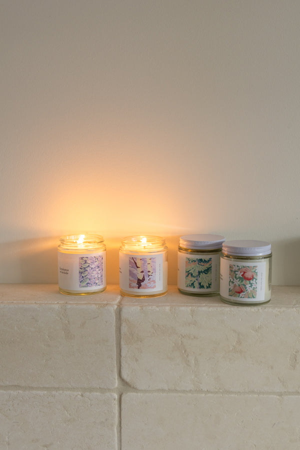 Coffret découverte — 4 bougies (25 heures par bougies)