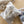 Sac de conservation pour fines herbes & laitue