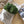 Sac de conservation pour fines herbes & laitue