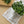 Sac de conservation pour fines herbes & laitue