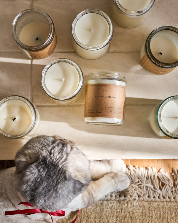 Bougie de soya — Avoine & Bouleau —  8 oz (50 heures)