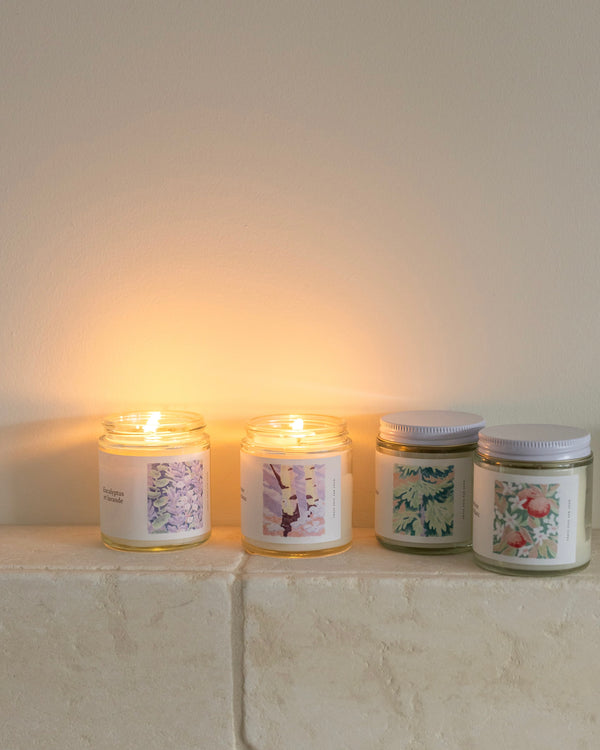 Bougie de soya — Avoine & Bouleau — 4 oz (25 heures)