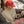 Diffuseur portatif — VIVES