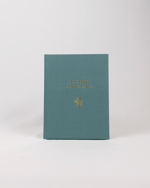 Album souvenir — 12 anniversaires