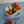 Plat de transport en silicone (3 compartiments)