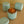 Thermos — Sauge