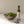 Vinaigre balsamique