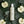 Gel-bain moussant  — Pomme verte & eucalyptus