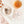 Thé en sachets – Earl Grey aux amandes grillées & à l’abricot