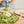 Charger l&#39;image dans la galerie, Carnet de recettes - Salades printanières
